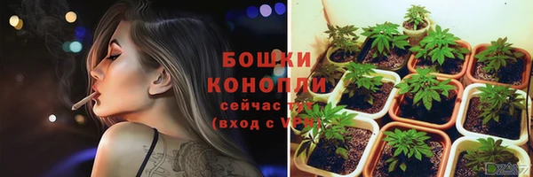 Альфа ПВП Гусев