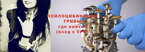 не бодяженный Гусиноозёрск