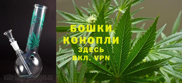 Альфа ПВП Гусев