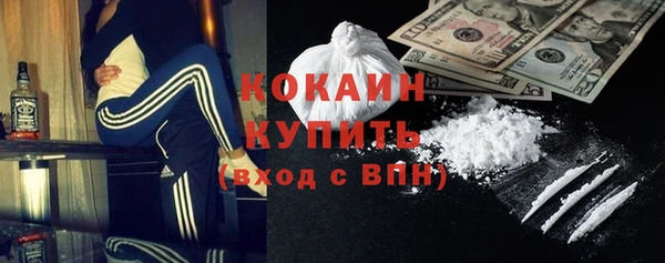 кокс Гусь-Хрустальный