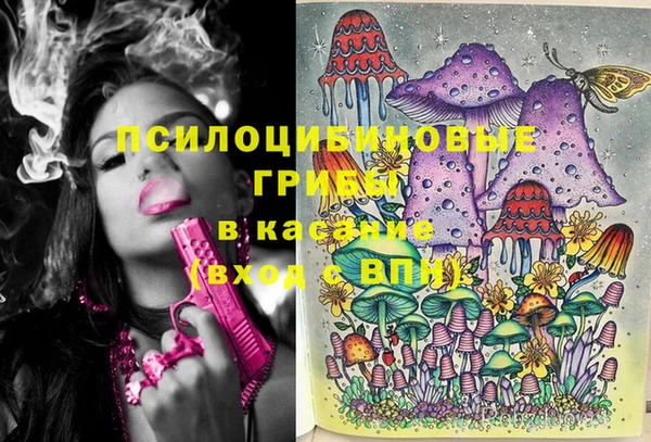 не бодяженный Гусиноозёрск