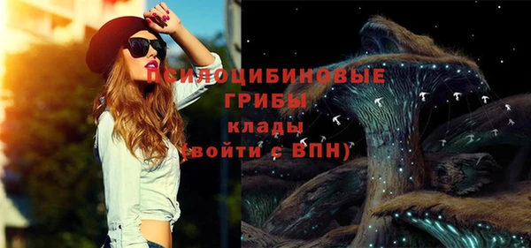 Альфа ПВП Гусев