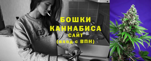 не бодяженный Гусиноозёрск