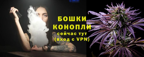 не бодяженный Гусиноозёрск
