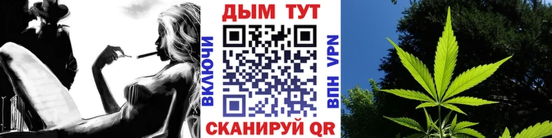 Купить закладки  Железногорск  МАРИХУАНА сатива 